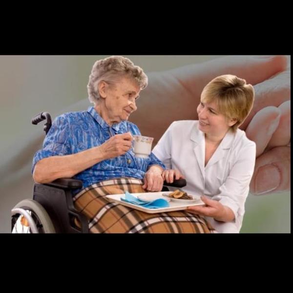 We provide professional elderl