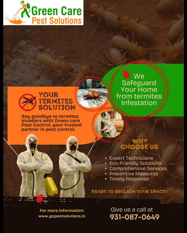 bed bug control treatment new 