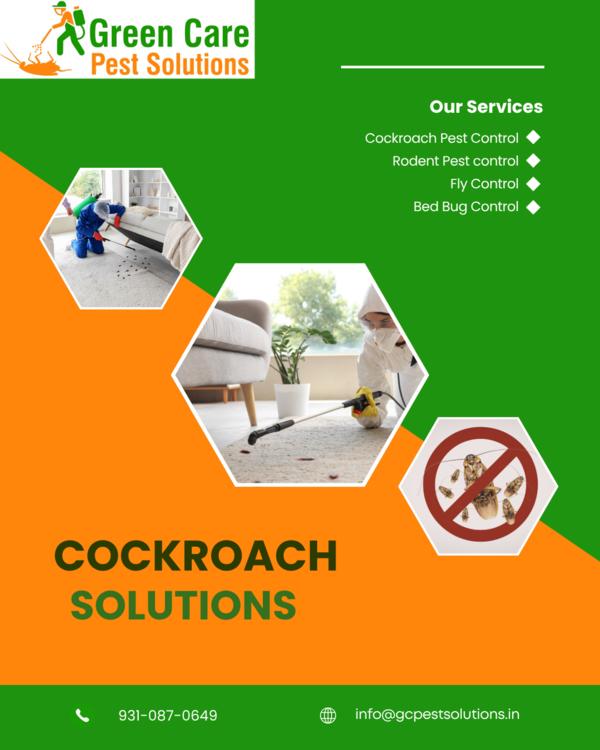 Cockroach Control in Kailash C