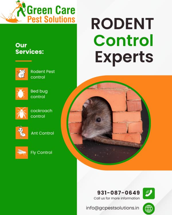 Rodent Control in Kailash Colo