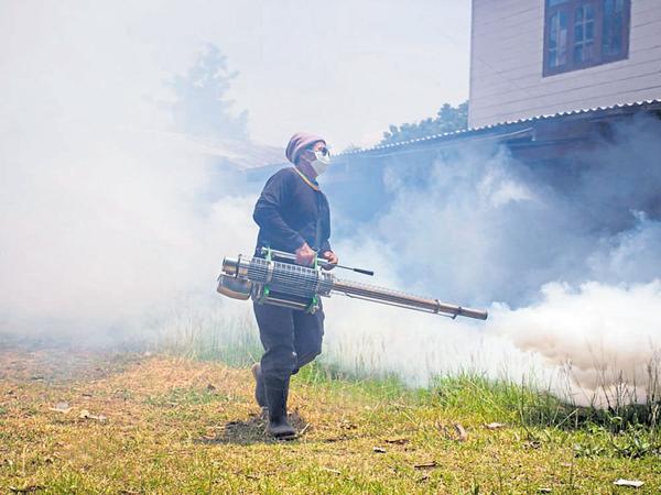 Fumigation Service in Kailash 