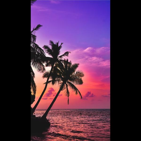 Modern wall wallpapers are des