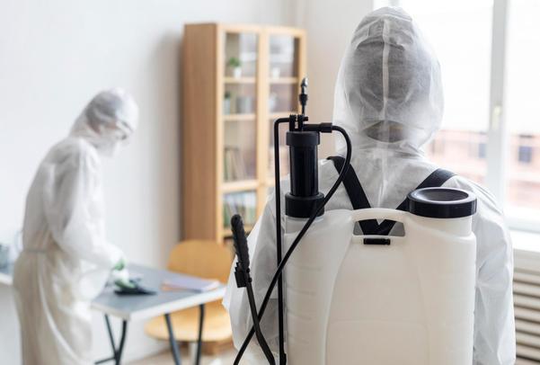Professional bed bug extermina