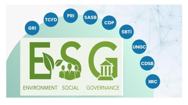Environmental, Social, and Gov