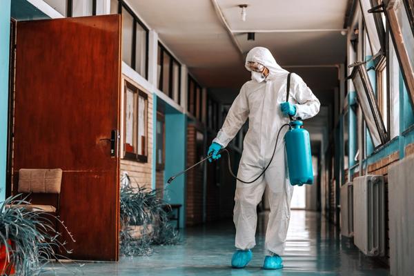 Eco friendly pest control serv
