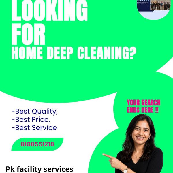 egular home deep cleaning remo