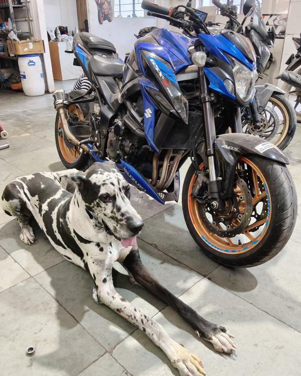Suzuki GSX 750 in for some min