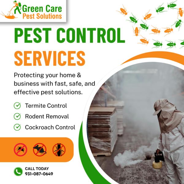 Termite control services in Ma
