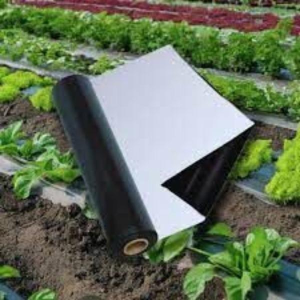 Growflex Polyfilms LLP is a trusted Black Mulching