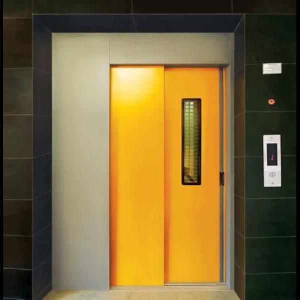 Passenger elevators manufacturers In AnandMain T