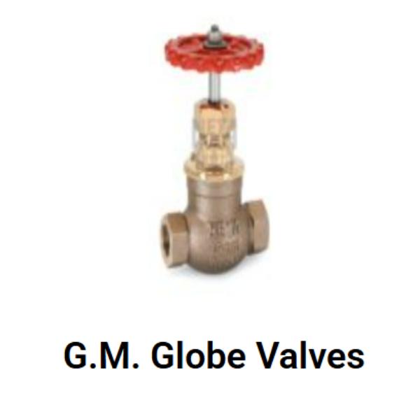 G.M. Globe Valves Dealer In Delhi