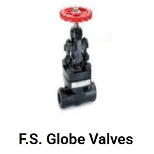 F.S. Globe Valves Dealer In Delhi