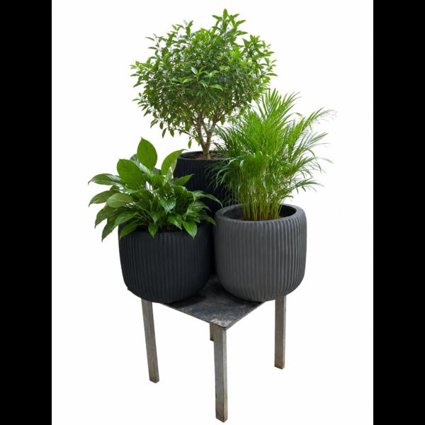These elegant FRP Flower 