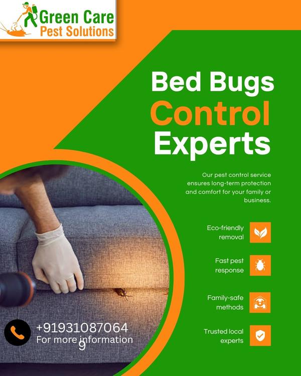 Bed Bugs Control services in M