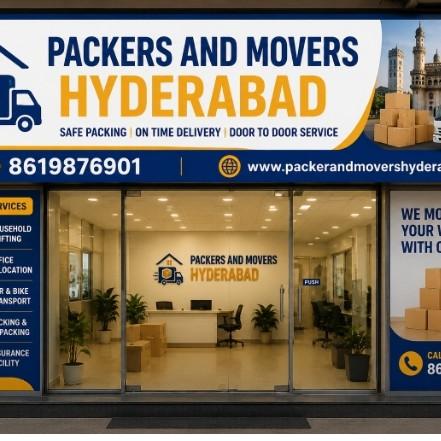 professional packers and mover