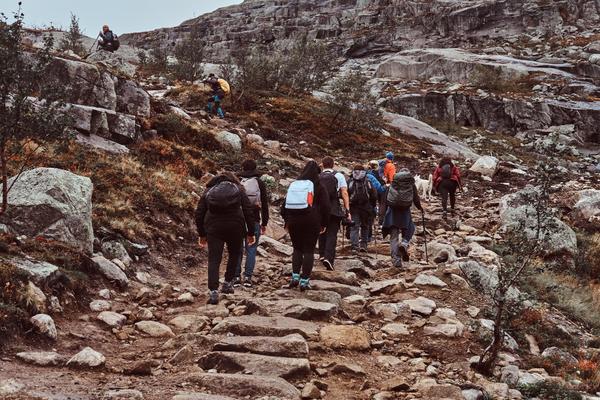Trekking T