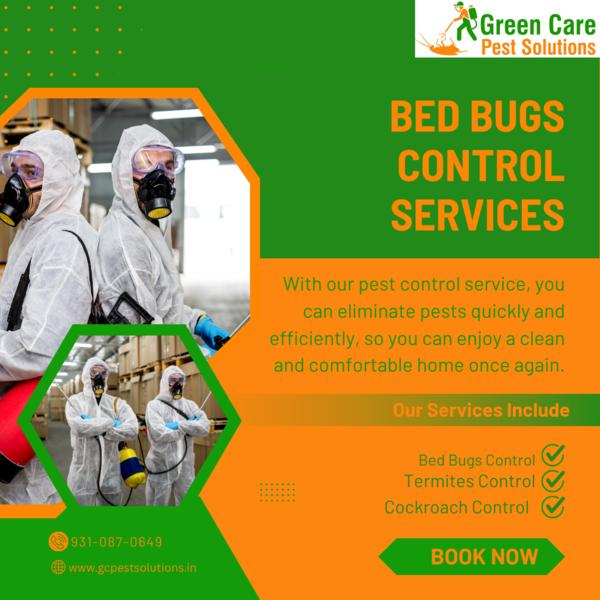 Bed Bugs Control Services in N