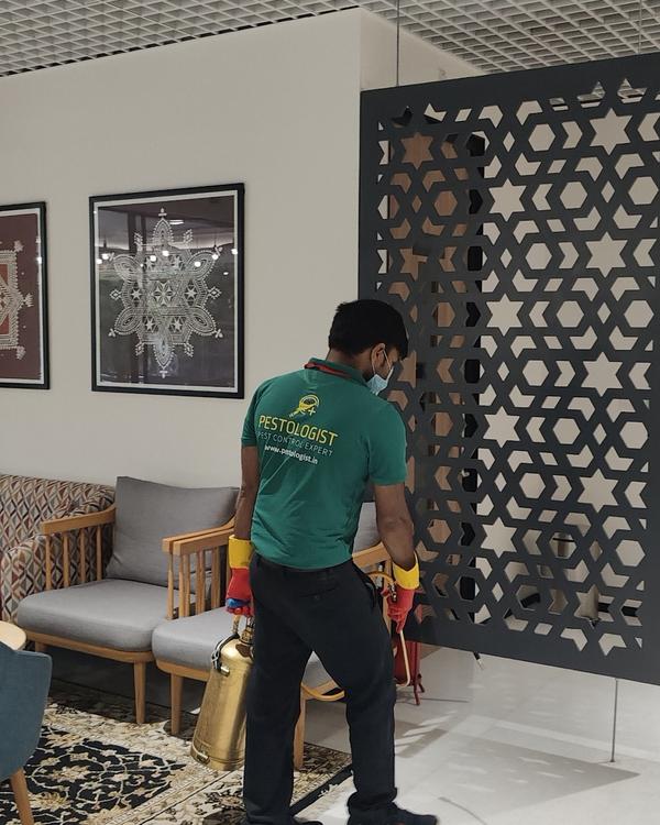 Pest Control In Jaipur Pe