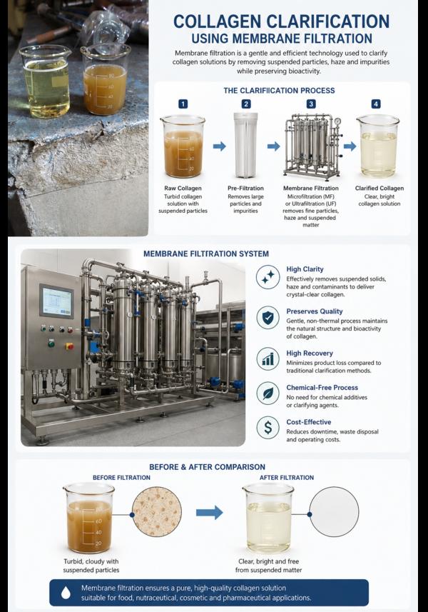 Achieving high-quality collagen starts with effect
