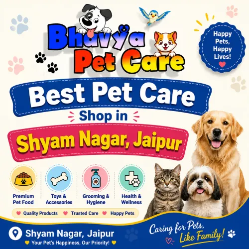 Best Pet Care Shop in Shy