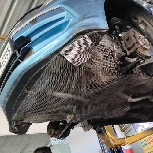 Car Rat Mesh Shop Near Me In P