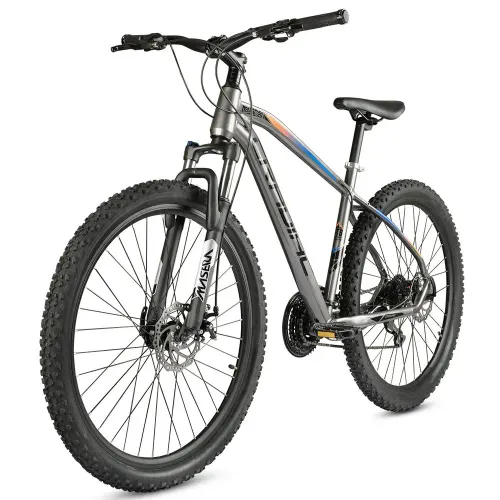 CRADIAC XC900 24 SPD 29 T