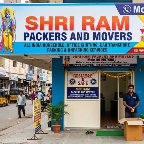 professional packers and mover