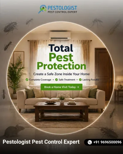 Pest Control In Jaipur Pe