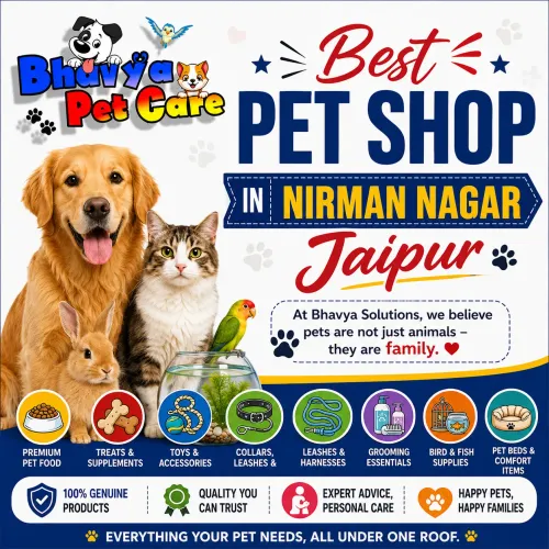 Best Pet Shop in Nirman N