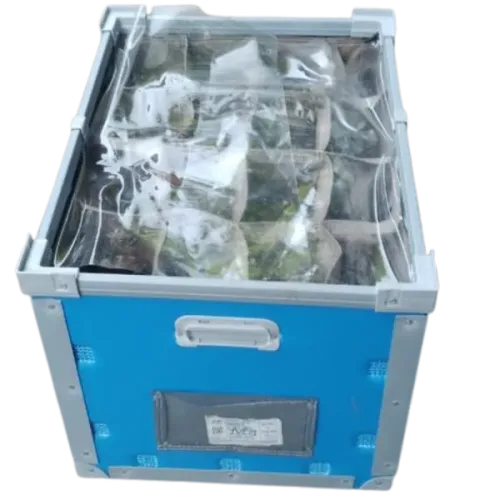 PP Dunnage Boxes in Delhi
