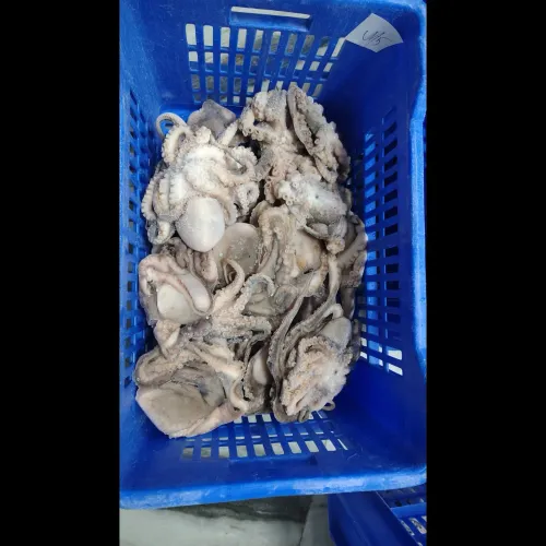 update image