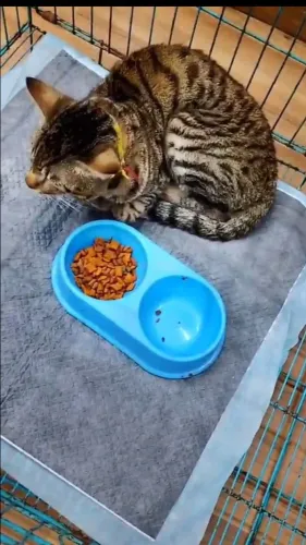 update image