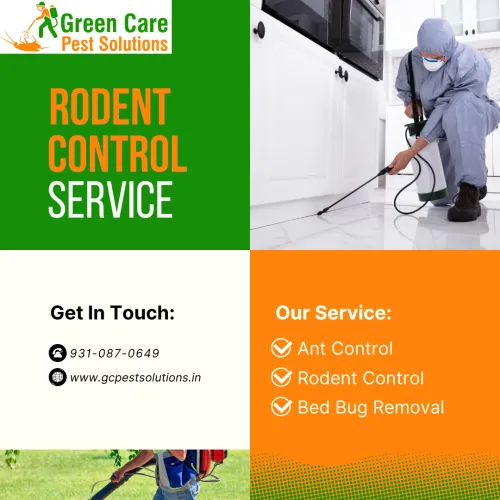 pest control services new frie