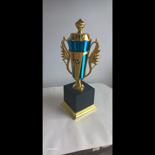 Recognizing achievements and celebrating success i