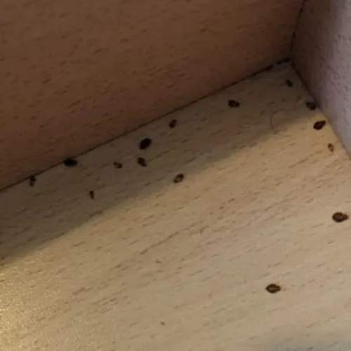 update image