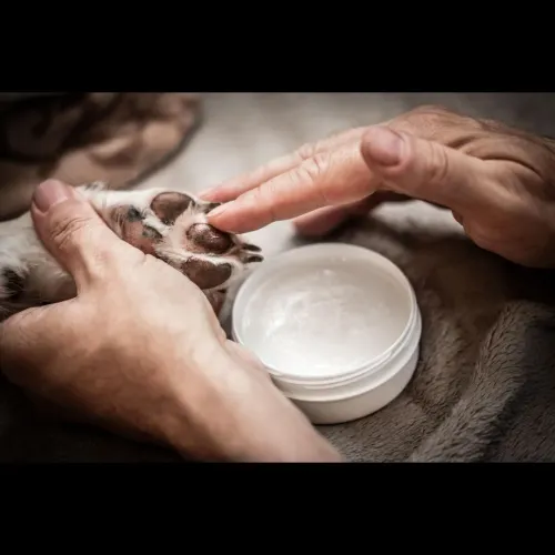 Paw massag