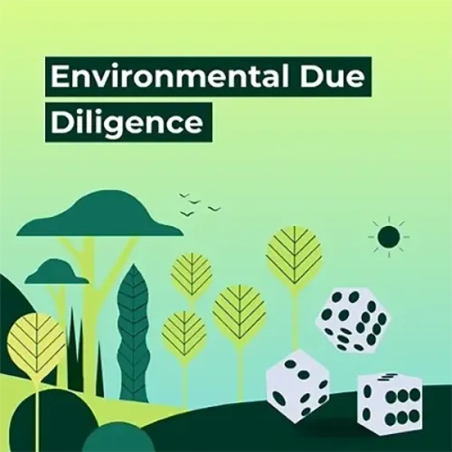 environmental due diligence co
