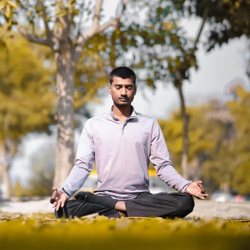 yoga styles hatha vinyasa flow