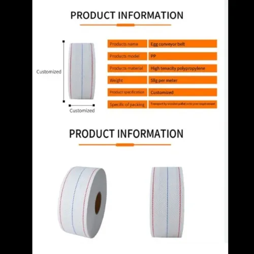 An egg collection belt is an automated, continuous