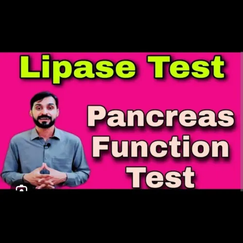 A lipase t
