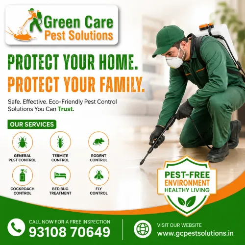 professional anti termite trea