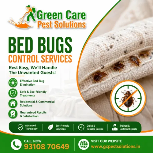 termite protection vasant kunj