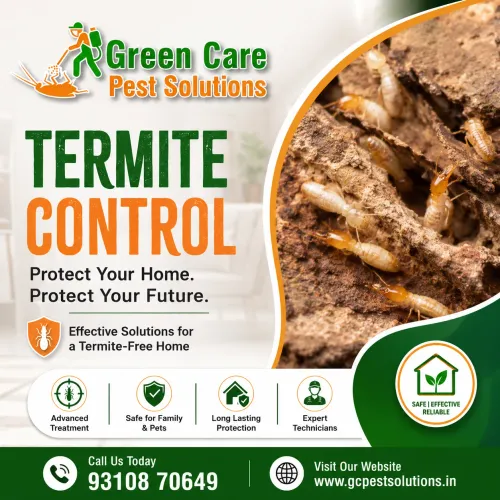 advanced anti termite treatmen