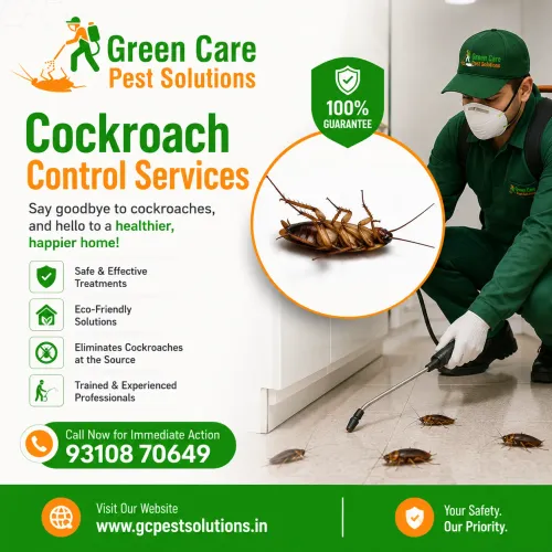 termite protection vasant kunj