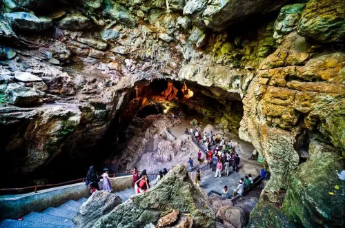 update image