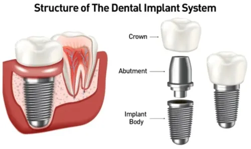 multi speciality dental clinic