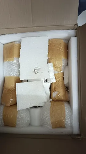 air and sea freight tennur tri