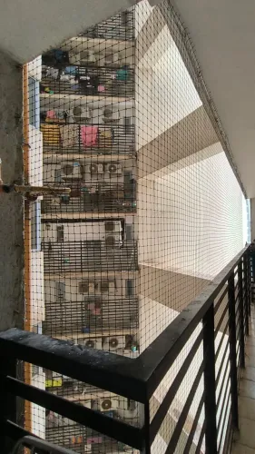 Soham Bird Pro Services is a t