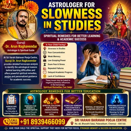 Astrologer for Slowness in Stu