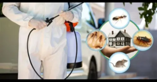 General Pest Control Service: 